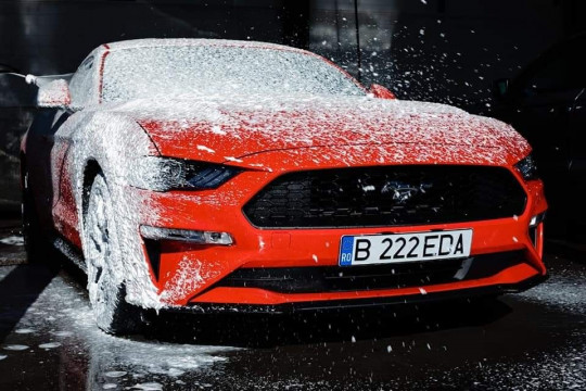 Polish auto profesional